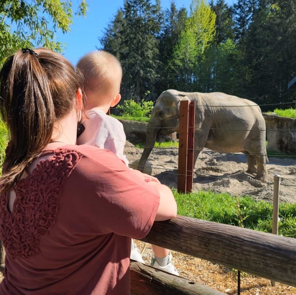 Meet your Posher, Nessa - Picture 1 of 1